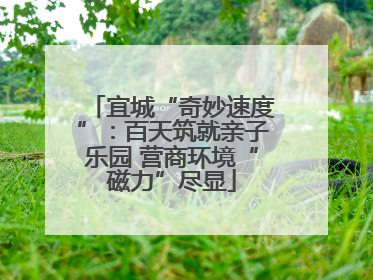 宜城“奇妙速度”：百天筑就亲子乐园 营商环境“磁力”尽显